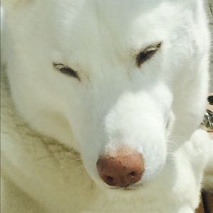 Meet your Posher, Karen